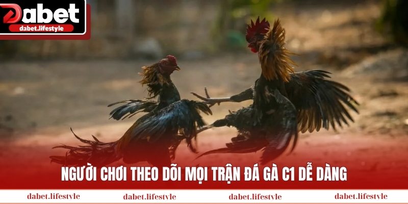Người chơi theo dõi mọi trận đá gà C1 dễ dàng